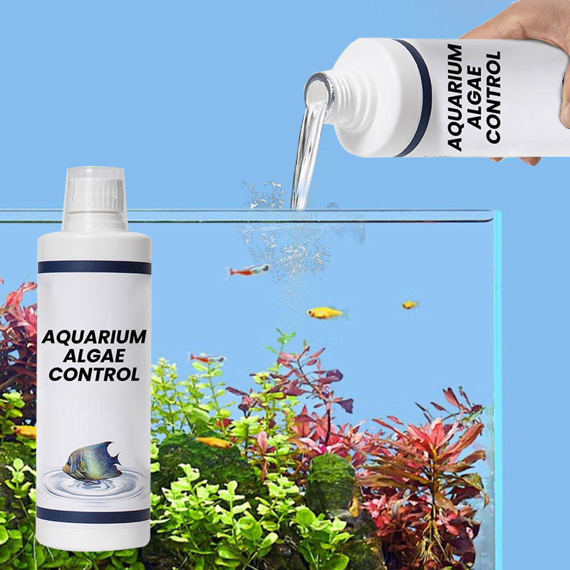 Algenbekämpfung im Aquarium