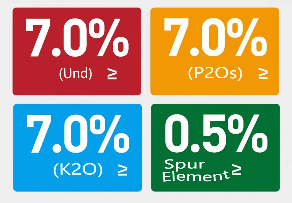 🔥2025 Blumen glücklich machen – ganz ohne Aufwand!Bio-Dünger Tabletten | Langzeitwirkung für üppige Pflanzen | 50% Rabatt 🌱
