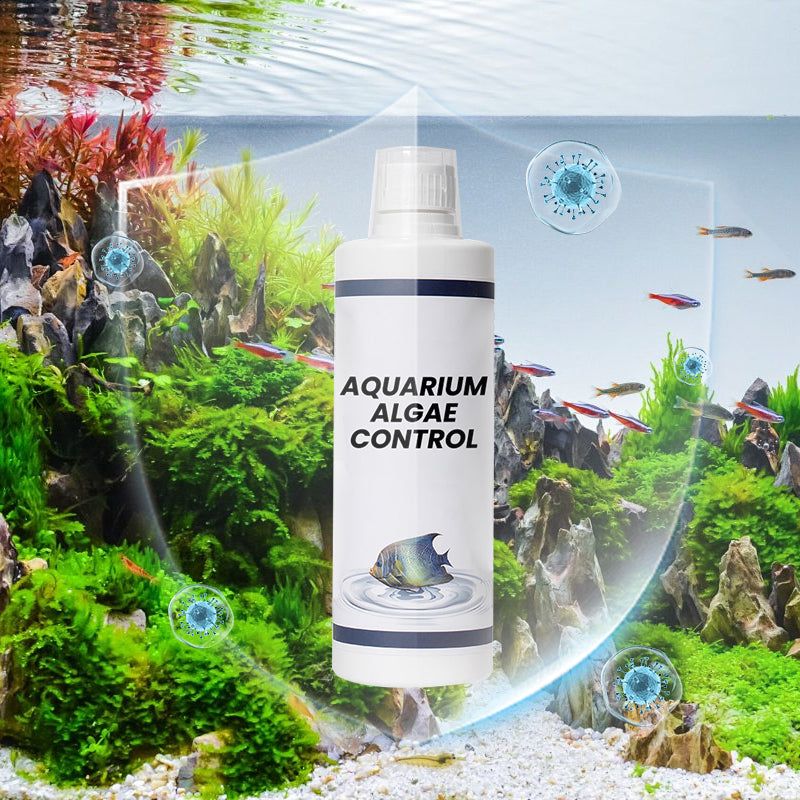 Algenbekämpfung im Aquarium