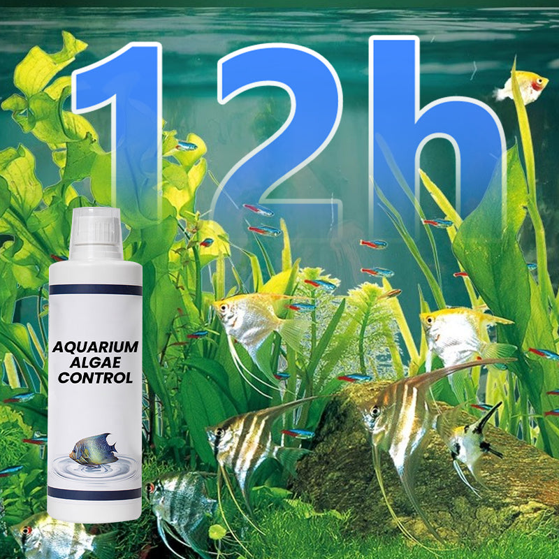 Algenbekämpfung im Aquarium
