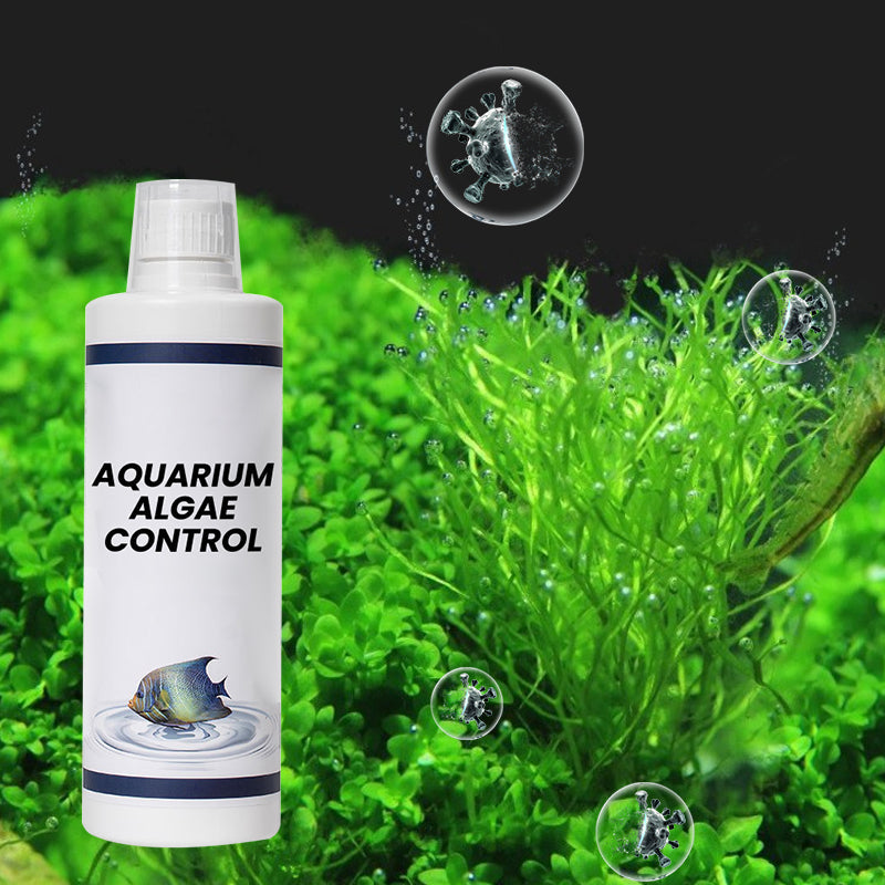 Algenbekämpfung im Aquarium