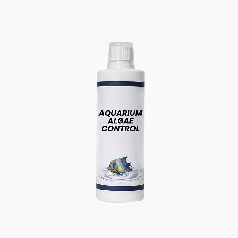 Algenbekämpfung im Aquarium