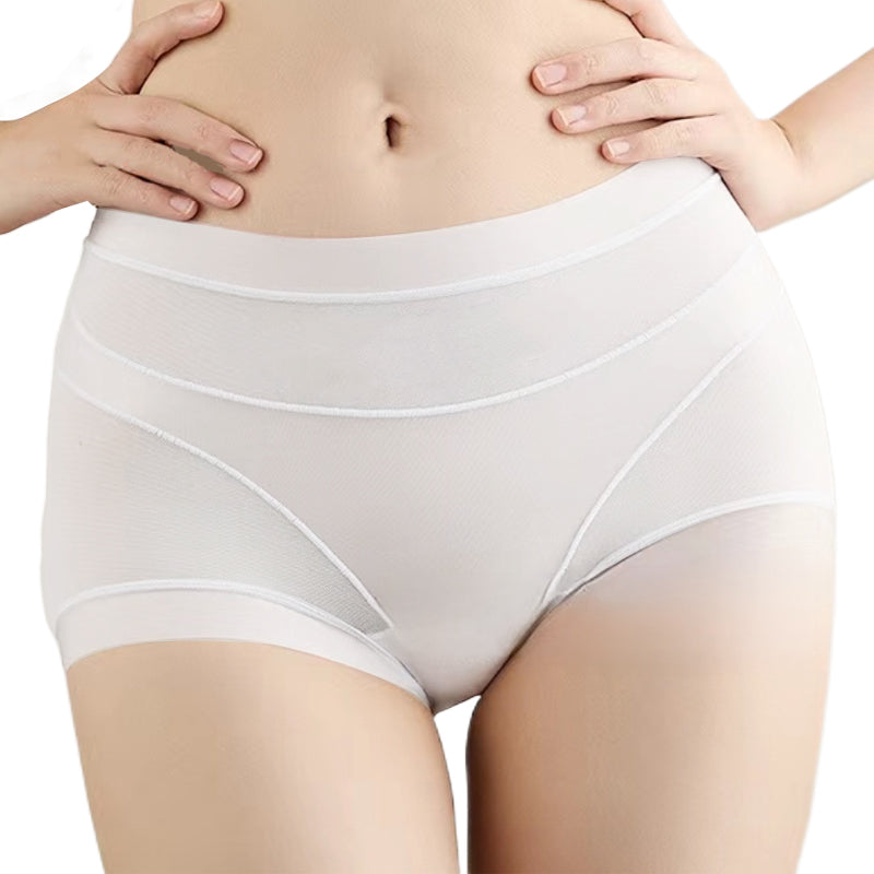 🏆 Damen transparente Netz Slip Unterhose – Luftiger leichter Stoff, weich & komfortabel für den Alltag