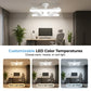 🌬️ 50 % RABATT FÜR BEGRENZTE ZEIT! 💡 Doppelkopf Deckenventilator mit LED Beleuchtung – Einstellbare Lüfterköpfe, leiser Motor & Fernbedienung für Wohn- und Schlafzimmer
