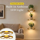 🏠 JETZT 50 % RABATT! 💡 Schwebendes Wandregal mit integrierter LED-Stimmungsbeleuchtung – Moderne Pflanzenpräsentation – Perfekt für Indoor-Gärten und Wohnungen ✨