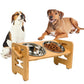 Adjustable Height Elevated Dog & Cat Feeder