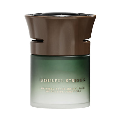 🍃 Premium Auto-Lufterfrischer – langanhaltendes Longjing-Tee-Aroma, frisch & edel 🚗✨