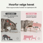 🐶 50 % rabatt!🐾 Høydejusterbar dobbel matskål for hunder og katter – avtakbare matskåler med stabil skålstativ