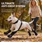 🐾🐕 Waterproof Anti-Drop Dog Boots with Adjustable Harness Suspender – bleiben sicher an den Pfoten! 💧